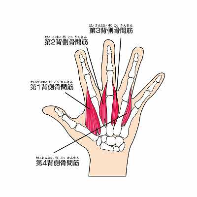 ２０秒で出来る指の痛み改善ストレッチ（背側骨間筋を伸ばす）