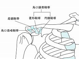 気が付くと鎖骨の高さが違う時