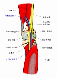 足の疲れ